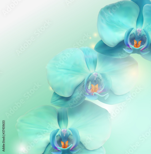 Plakat kwiat kwitnący piękny natura wzór