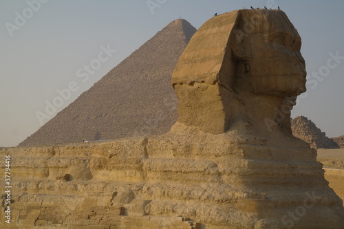 Fototapeta pustynia statua piramida egipt