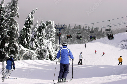 Fotoroleta śnieg ruch narciarz wzgórze drzewa