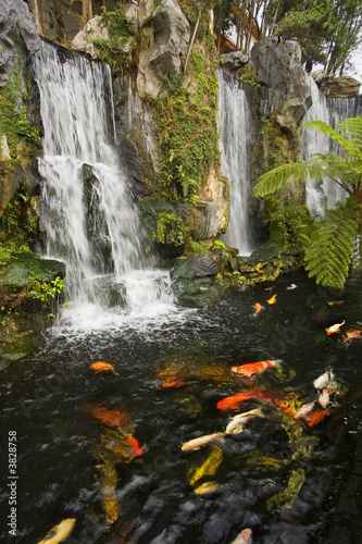 Fototapeta wodospad japoński azjatycki woda