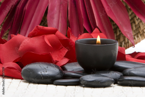 Obraz na płótnie aromaterapia zen masaż wellnes