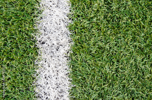 Fototapeta bramkarz sport trawa piłka nożna pole