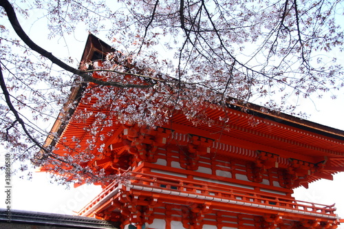 Obraz na płótnie architektura japoński zen natura