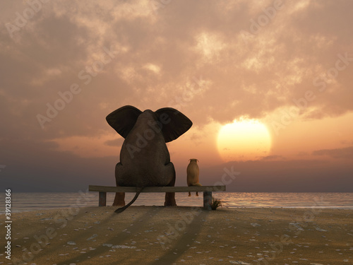 Naklejka Słoń i pies razem na letniej plaży
