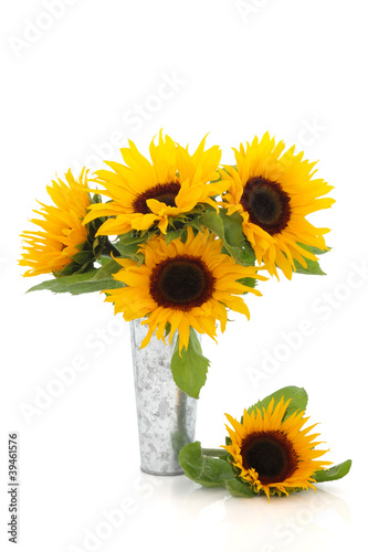 Obraz na płótnie słońce słonecznik lato kwiat natura
