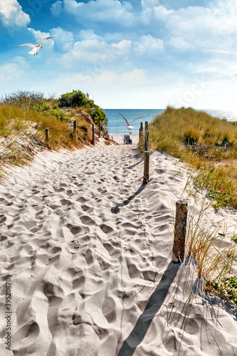 Fototapeta wydma droga lato plaża leżak