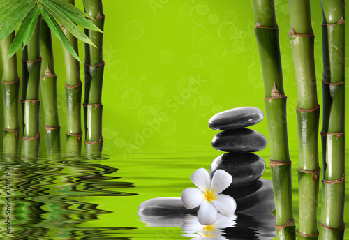 Obraz na płótnie zdrowy azjatycki rosa zen woda