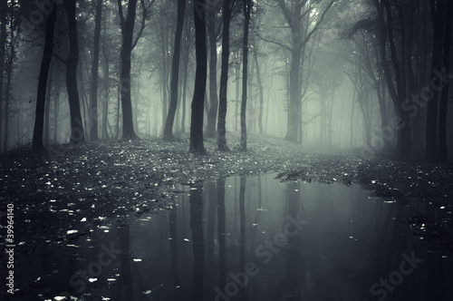 Naklejka Staw w leśnej mgle