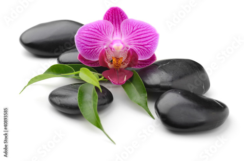 Obraz na płótnie Orchidea pośród kamieni zen