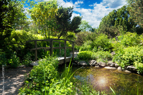 Fototapeta ogród ogród japoński krajobraz japoński roślina