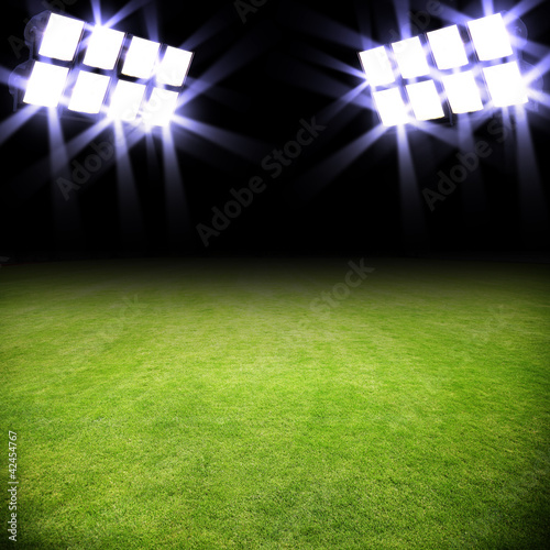 Fototapeta stadion piłkarski piłka piłka nożna piłkarz