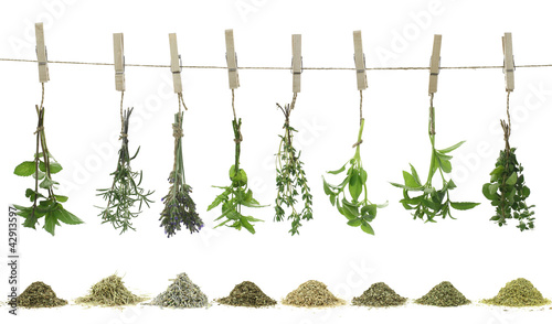 Naklejka roślina herbata medycyna zdrowie