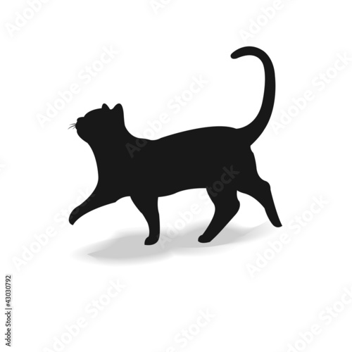 Obraz na płótnie Grafika kota