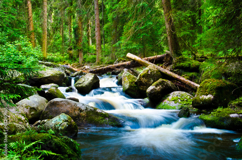 Obraz na płótnie Rwący potok z wodospadami w lesie