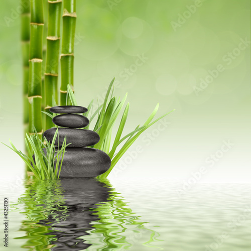 Obraz na płótnie woda roślina azjatycki wellnes masaż