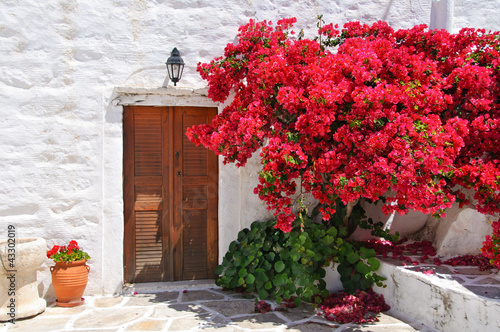 Obraz na płótnie Grecki ganek z czerwonymi kwiatami