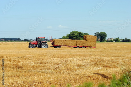 Obraz na płótnie pole trawa drzewa traktor
