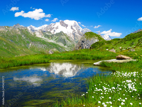 Obraz na płótnie natura góra dziki kwitnący