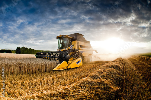Naklejka pole traktor filiżanka rolnictwo pszenica