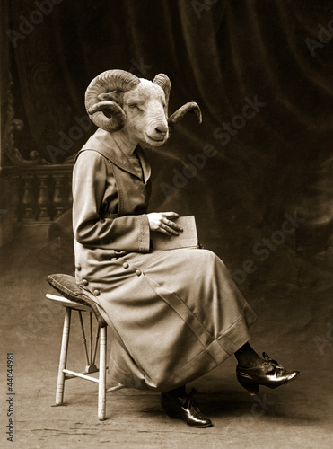 Naklejka owca antyczny vintage