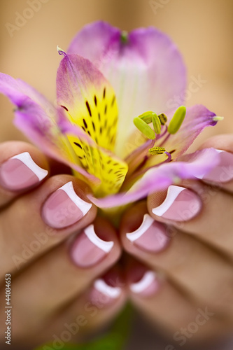 Plakat manicure piękny świeży kwiat kobieta