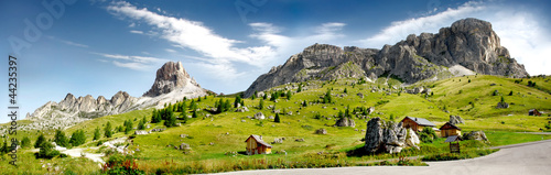 Fotoroleta sosna alpy panoramiczny