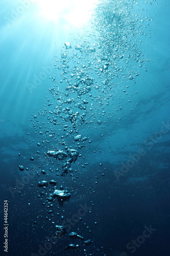 Fototapeta słońce natura świeży podwodne