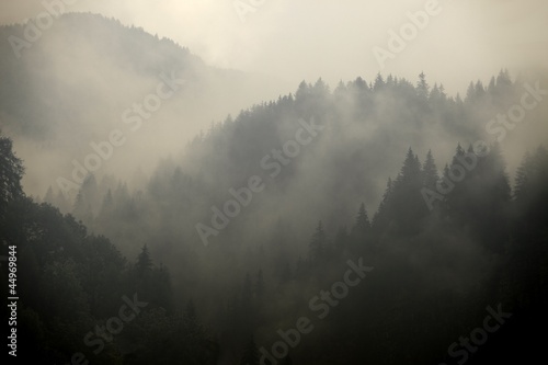Fototapeta wzgórze zmierzch las