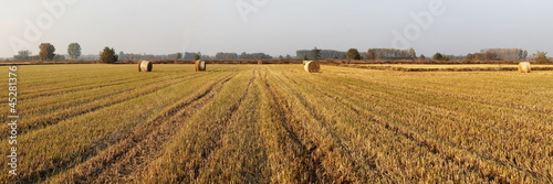 Naklejka łąka panorama trawa niebo wiejski