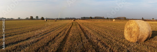 Fotoroleta pole zboże pejzaż łąka rolnictwo