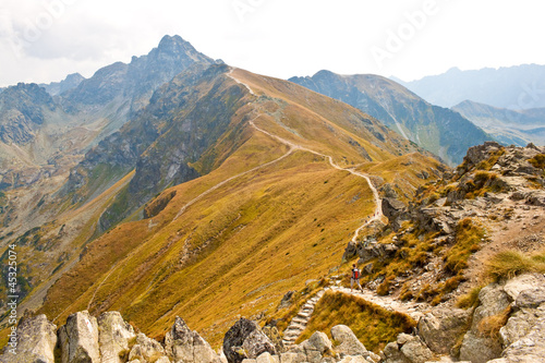Obraz na płótnie wzgórze ścieżka tatry dolina dziki