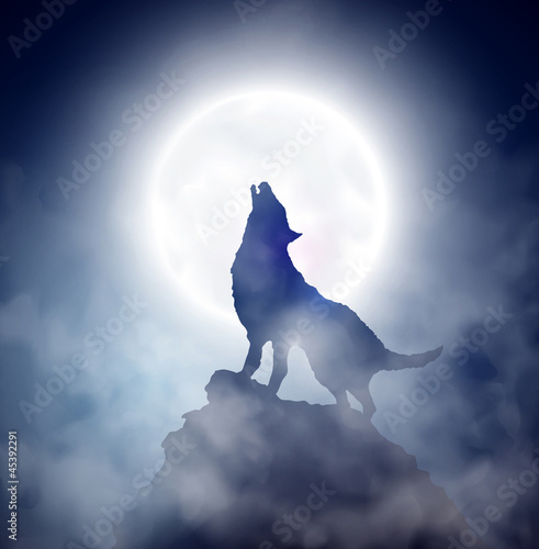 Obraz na płótnie noc zmierzch niebo obraz ssak