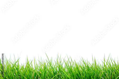 Obraz na płótnie trawa tło trawnik materiał