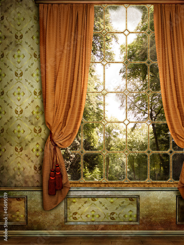 Fototapeta Wiktoriańskie okno z widokiem na drzewa