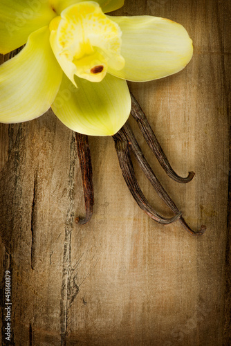 Fototapeta wanilia azjatycki jedzenie storczyk natura