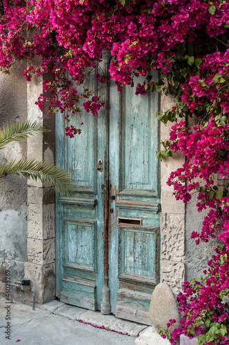 Fotoroleta roślina wyspa grecki wejście grecja