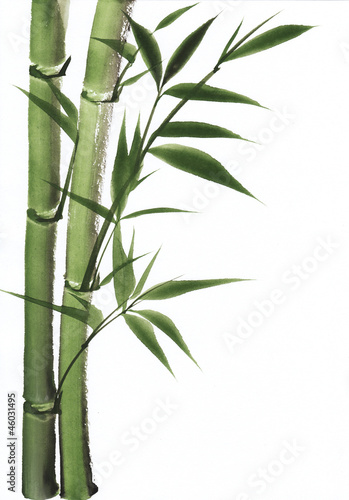 Naklejka sztuka roślina zen azjatycki bambus