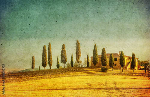Fototapeta włoski vintage pole włochy wzór