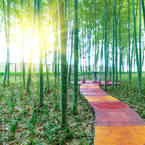 Plakat bambus natura wschód