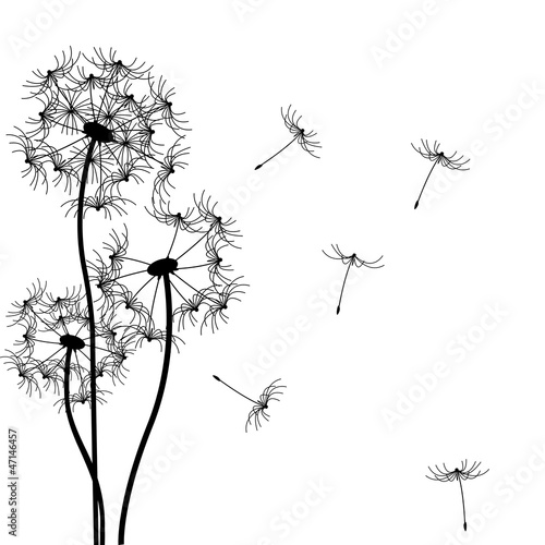 Obraz na płótnie kwiat roślina stylowy