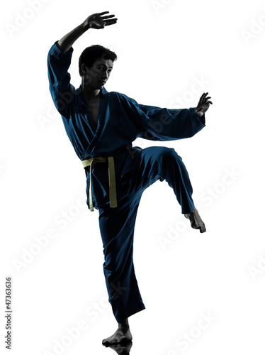 Plakat ludzie mężczyzna azjatycki sztuki walki