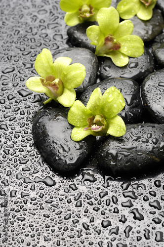 Obraz na płótnie zen kwiat woda