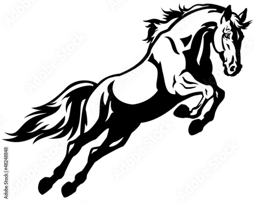 Plakat zwierzę ogier mustang koń stajnia