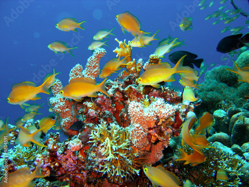 Fotoroleta meksyk egzotyczny karaiby morze