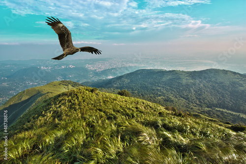 Fotoroleta góra piękny dziki oko obraz