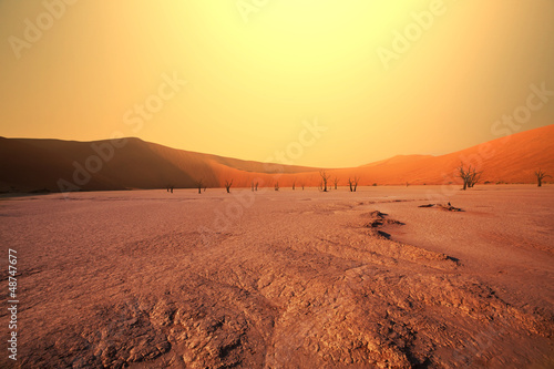 Naklejka pustynia świt bezdroża wydma