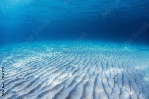 Fotoroleta plaża słońce podwodne morze