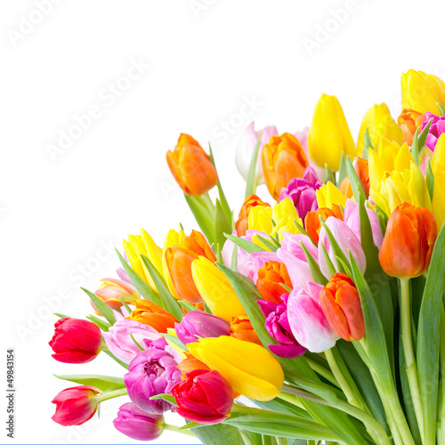 Obraz na płótnie tulipan kwiat bukiet narcyz lato