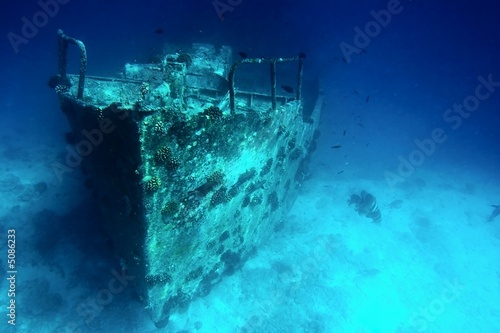 Fotoroleta koral wojskowy natura statek