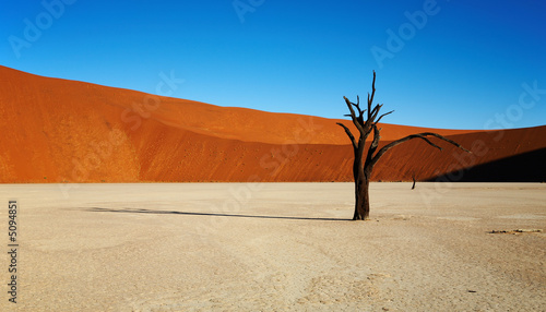 Naklejka afryka safari pustynia wydma krajobraz